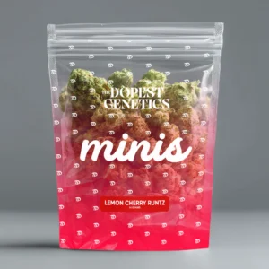MINIS