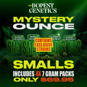 Mystery Smalls